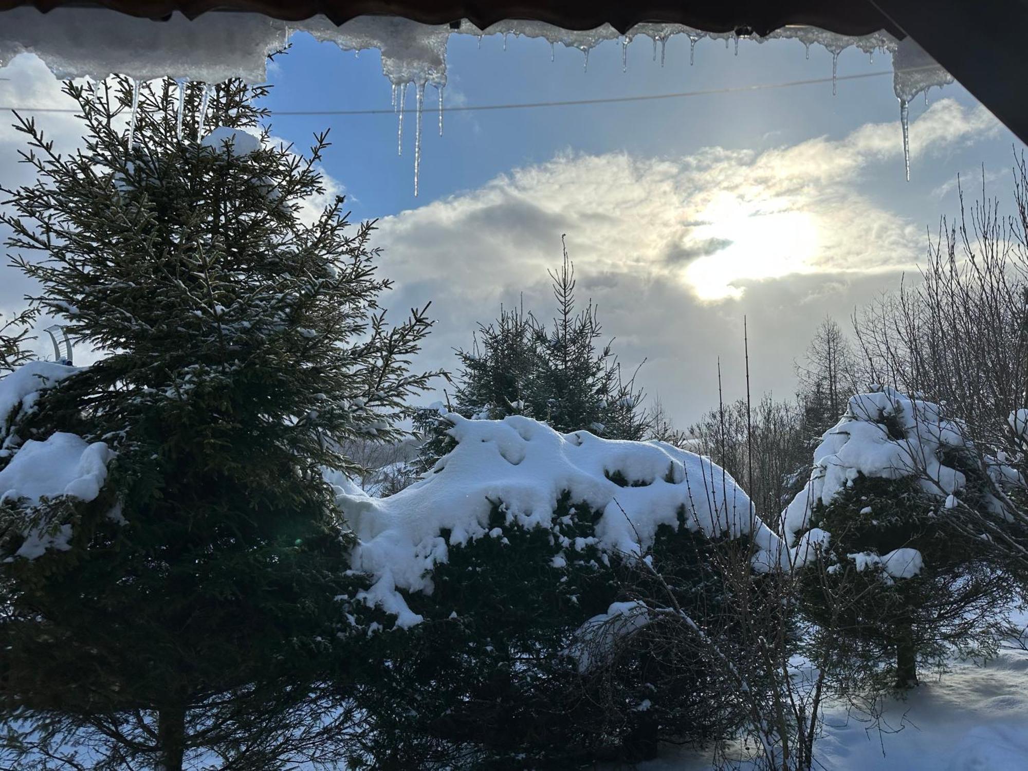 Urocza Chata Z Sauna W Bieszczadzkim Parku Krajobrazowym Bukowiec  Esterno foto